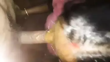 Tamil blowjob wife sucking her husbandâ€™s thick long dick